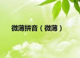 微薄拼音（微薄）