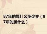 87年的属什么多少岁（87年的属什么）