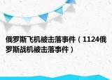 俄罗斯飞机被击落事件（1124俄罗斯战机被击落事件）