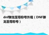 dnf御龙至尊称号外观（DNF御龙至尊称号）