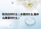秋月白对什么（水绕对什么 雨中山果落对什么）