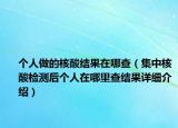 个人做的核酸结果在哪查（集中核酸检测后个人在哪里查结果详细介绍）