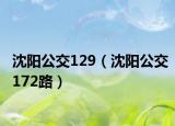 沈阳公交129（沈阳公交172路）