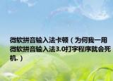 微软拼音输入法卡顿（为何我一用微软拼音输入法3.0打字程序就会死机.）