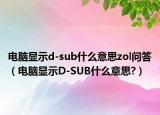 电脑显示d-sub什么意思zol问答（电脑显示D-SUB什么意思?）