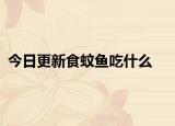 今日更新食蚊鱼吃什么