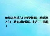 跆拳道基础入门教学横踢（跆拳道入门（教你基础腿法 技巧）--横踢）