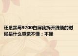还是黑莓9700白屏我拆开线缆的时候是什么感觉不懂；不懂