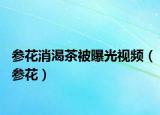 参花消渴茶被曝光视频（参花）