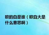 欧的白是谁（欧白大是什么意思啊）