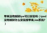 苹果没有越狱ipa可以安装吗（ipad没有越狱怎么安装搜苹果,ios系统?）