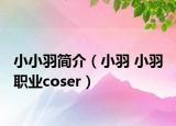 小小羽简介（小羽 小羽 职业coser）