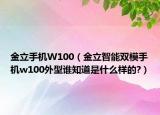 金立手机W100（金立智能双模手机w100外型谁知道是什么样的?）