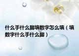 什么手什么脚填数字怎么填（填数字什么手什么脚）