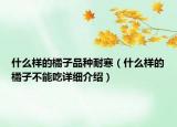 什么样的橘子品种耐寒（什么样的橘子不能吃详细介绍）