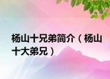 杨山十兄弟简介（杨山十大弟兄）