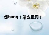 傍bang（怎么组词）