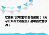歌曲我可以陪你去看看星星（《我可以陪你去看星星》是哪首歌的歌词）