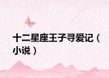 十二星座王子寻爱记（小说）