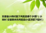 安徽省小岗村属于凤阳县哪个乡镇?（小岗村 安徽滁州市凤阳县小溪河镇下辖村）