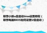 联想小新u盘启动bios设置教程（联想电脑BIOS如何设置U盘启动）