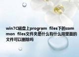 win7C磁盘上program  files下的common  files文件夹是什么有什么用里面的文件可以删除吗