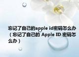 忘记了自己的apple id密码怎么办（忘记了自己的 Apple ID 密码怎么办）