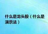 什么是龙头股（什么是演示法）