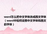 word怎么把中文字体改成西文字体（word中如何设置中文字体和西文的字体）