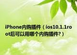 iPhone内购插件（ios10.1.1root后可以用哪个内购插件?）