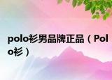 polo衫男品牌正品（Polo衫）