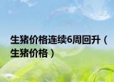生猪价格连续6周回升（生猪价格）