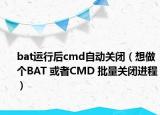 bat运行后cmd自动关闭（想做个BAT 或者CMD 批量关闭进程）