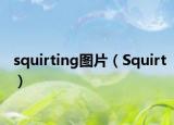 squirting图片（Squirt）
