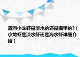 请问小龙虾是淡水的还是海里的?（小龙虾是淡水虾还是海水虾详细介绍）