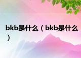 bkb是什么（bkb是什么）