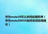 华为mate20怎么关闭应用程序（华为mate20X5G如何关闭应用建议）