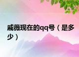 戚薇现在的qq号（是多少）