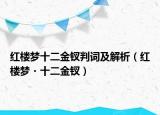 红楼梦十二金钗判词及解析（红楼梦・十二金钗）