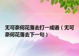 无可奈何花落去打一成语（无可奈何花落去下一句）