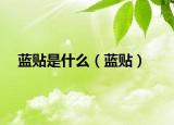 蓝贴是什么（蓝贴）