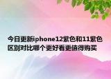 今日更新iphone12紫色和11紫色区别对比哪个更好看更值得购买