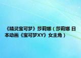 《精灵宝可梦》莎莉娜（莎莉娜 日本动画《宝可梦XY》女主角）