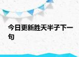 今日更新胜天半子下一句