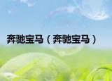 奔驰宝马（奔驰宝马）