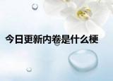 今日更新内卷是什么梗