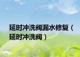 延时冲洗阀漏水修复（延时冲洗阀）