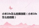 小米10s怎么拍摄微距（小米10s怎么拍微距）