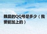魏晨的QQ号是多少（我要能加上的）