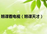 翘课看电视（翘课天才）